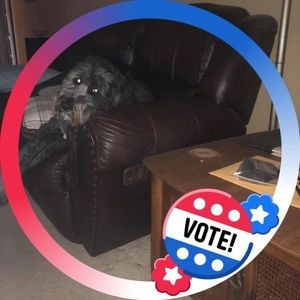 Meet your Posher, Donald